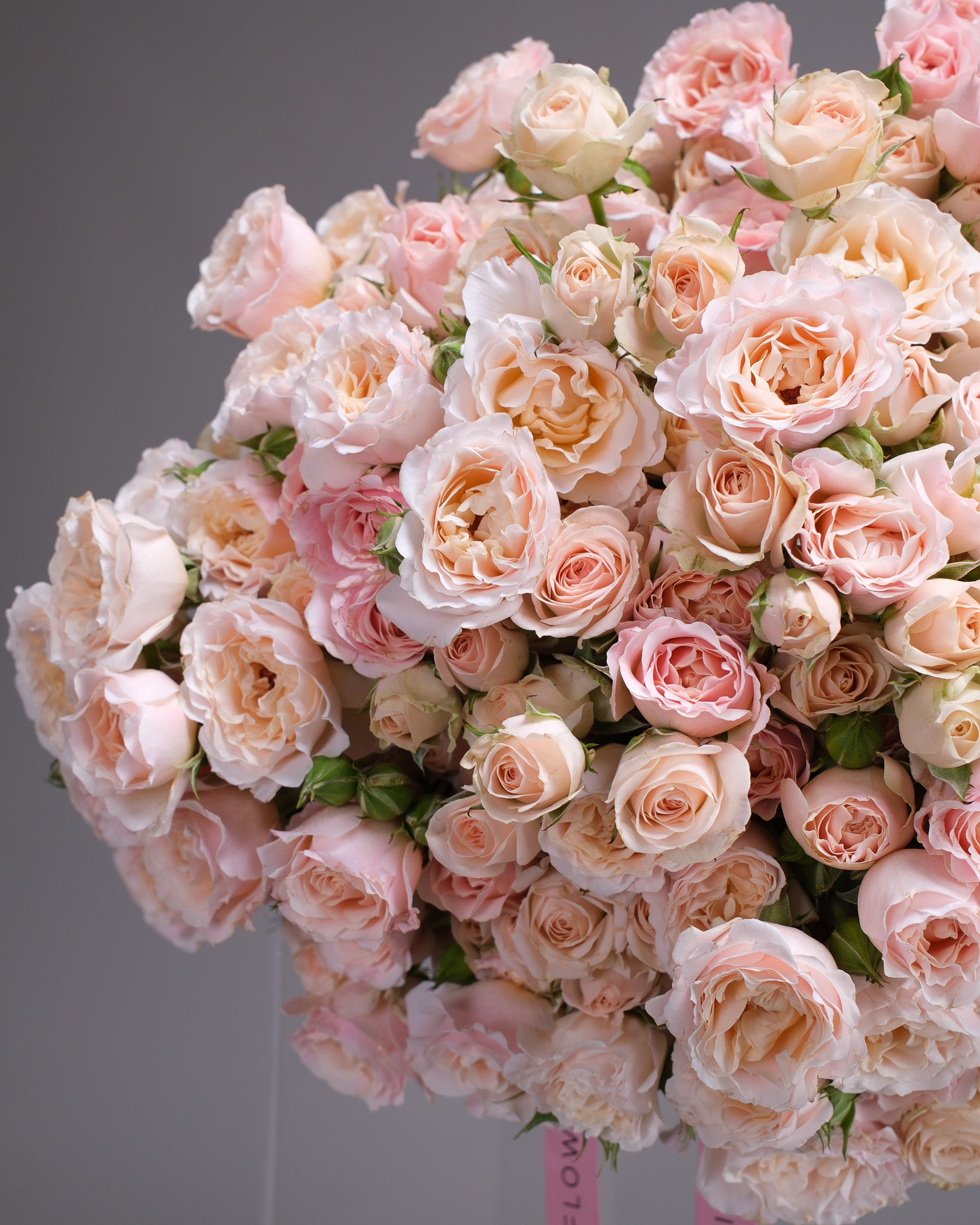 Champagne Hour — Cream & Blush Spray Rose Bouquet