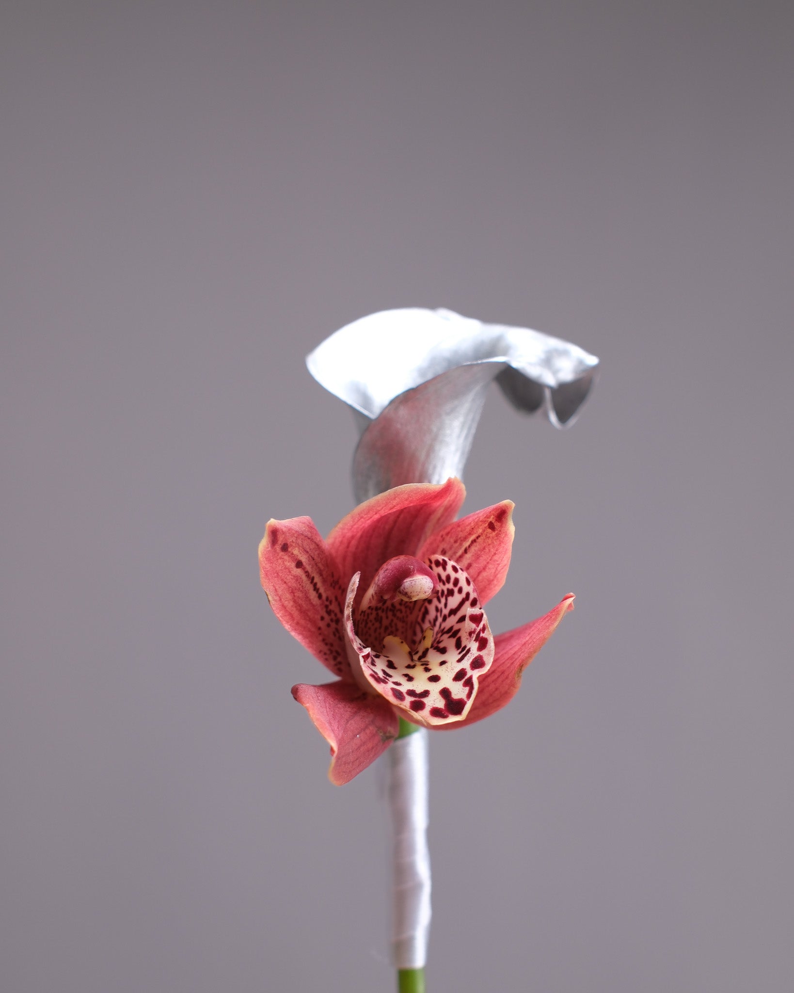 Coral Cymbidium Orchid & Silver Anthurium Bridal Bouquet & Boutonniere
