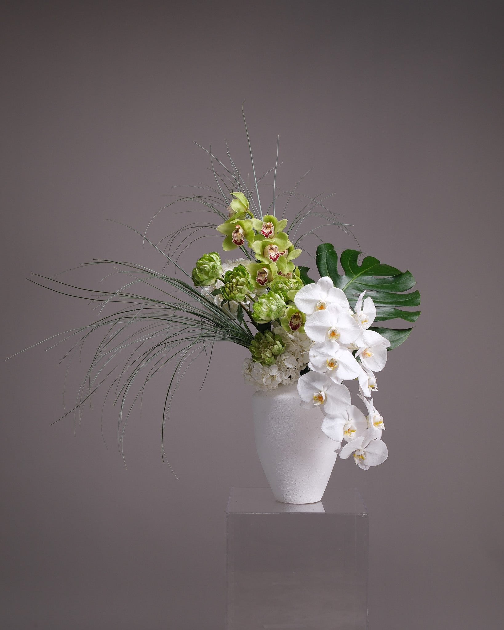Grand Botanist — White Orchid & Cymbidium Interior Piece