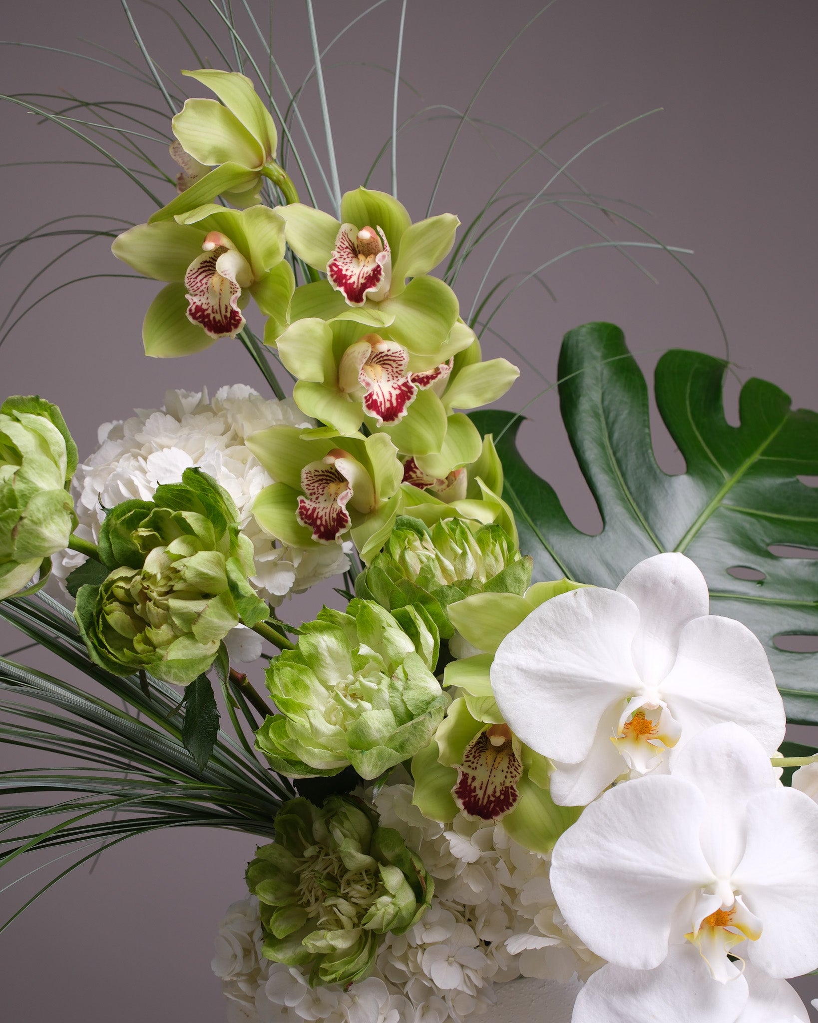 Grand Botanist — White Orchid & Cymbidium Interior Piece