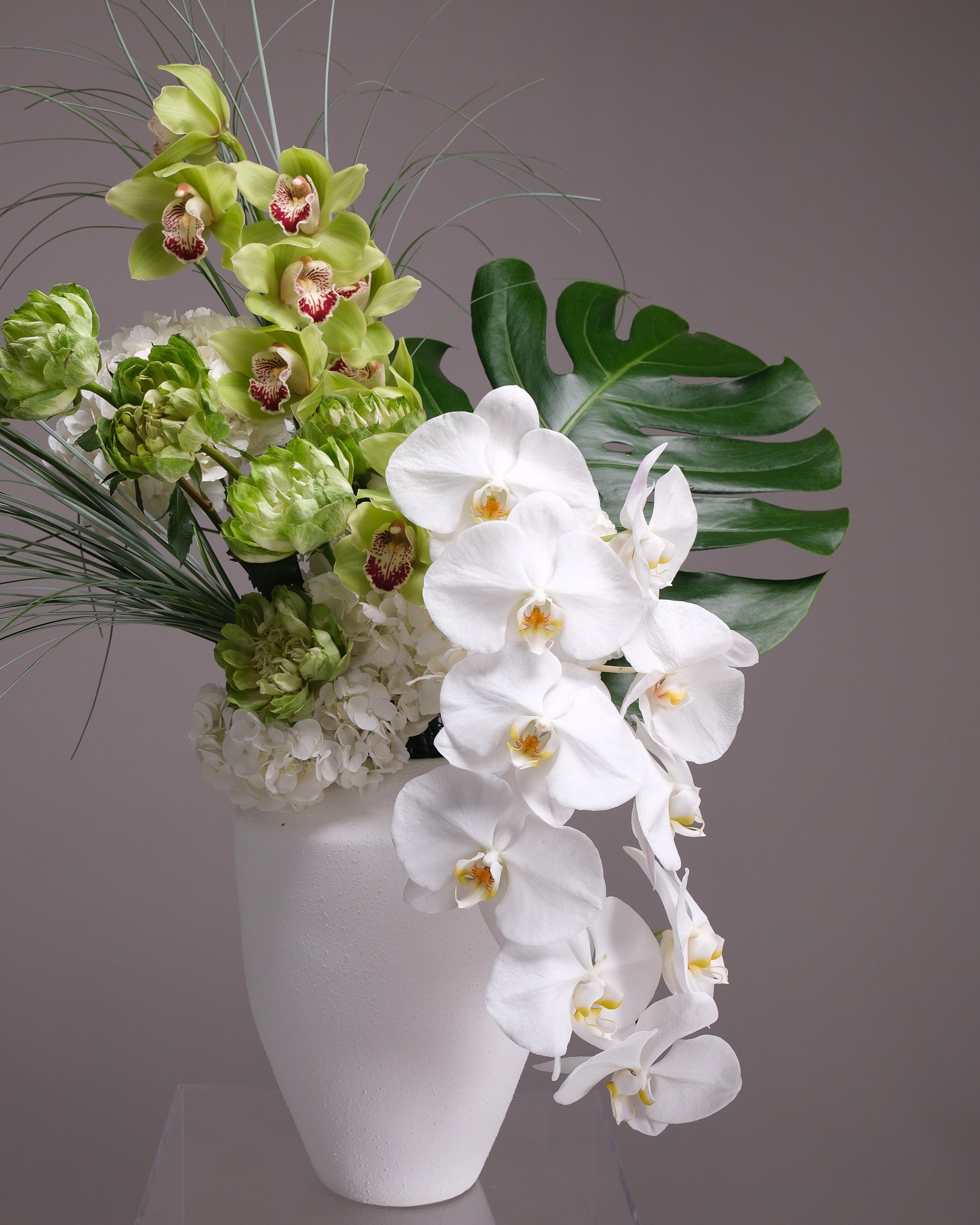 Grand Botanist — White Orchid & Cymbidium Interior Piece