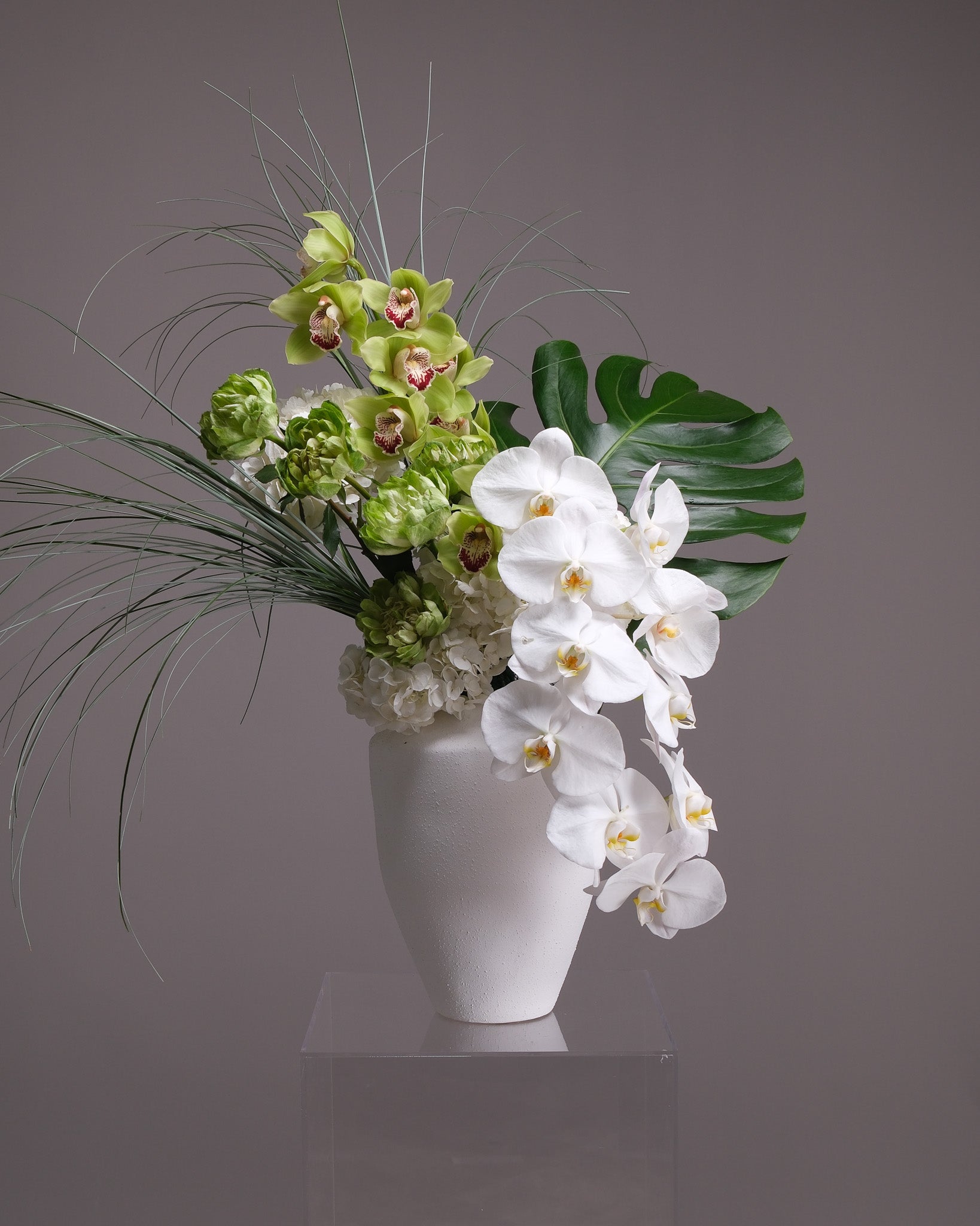 Grand Botanist — White Orchid & Cymbidium Interior Piece