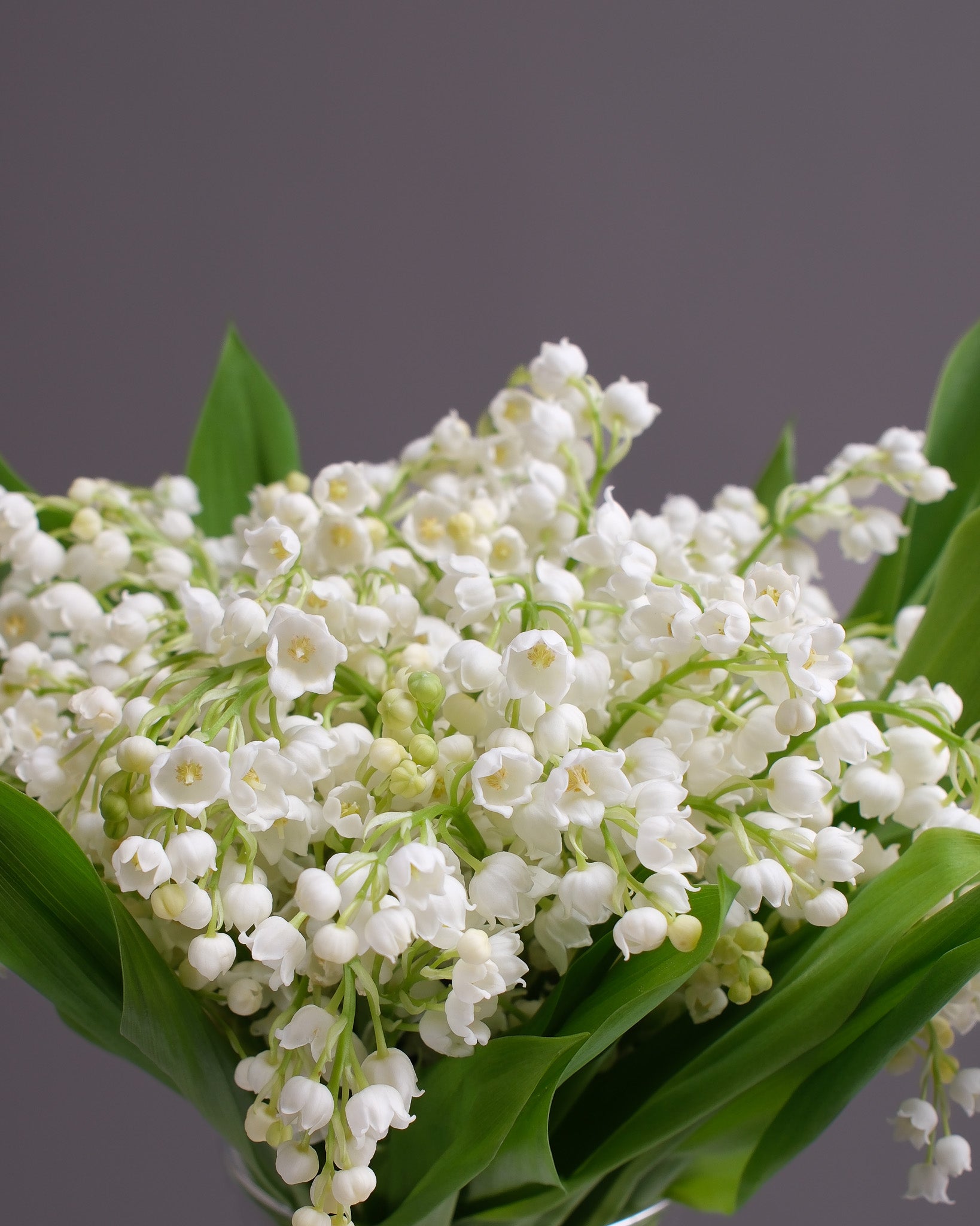 Muguet — Lily of the Valley Bridal Bouquet