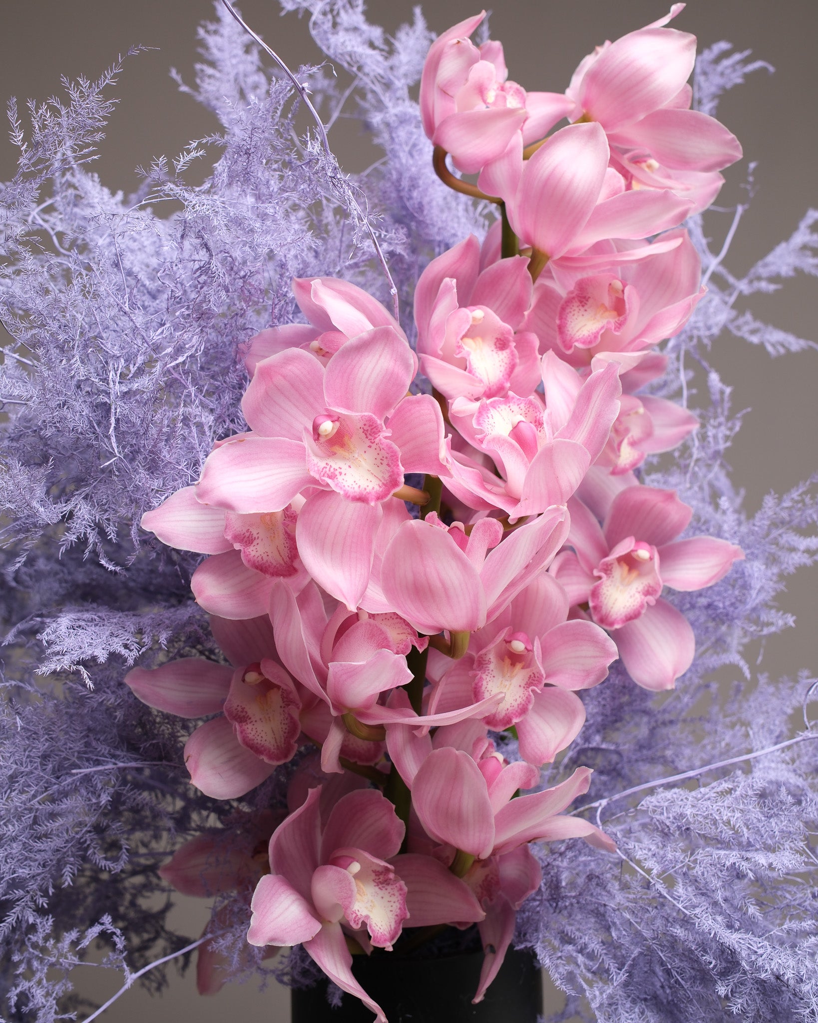 Pink Cymbidium Orchid & Lavender Fern Vase Arrangement