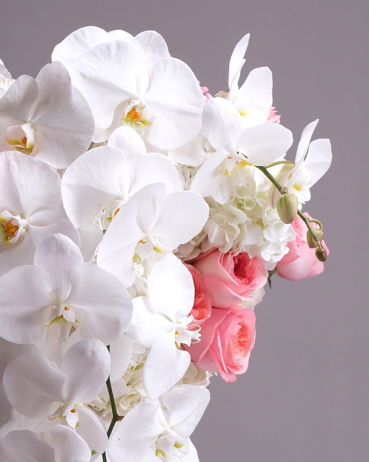 Pink Garden Rose & Orchid Arrangement in White Vase