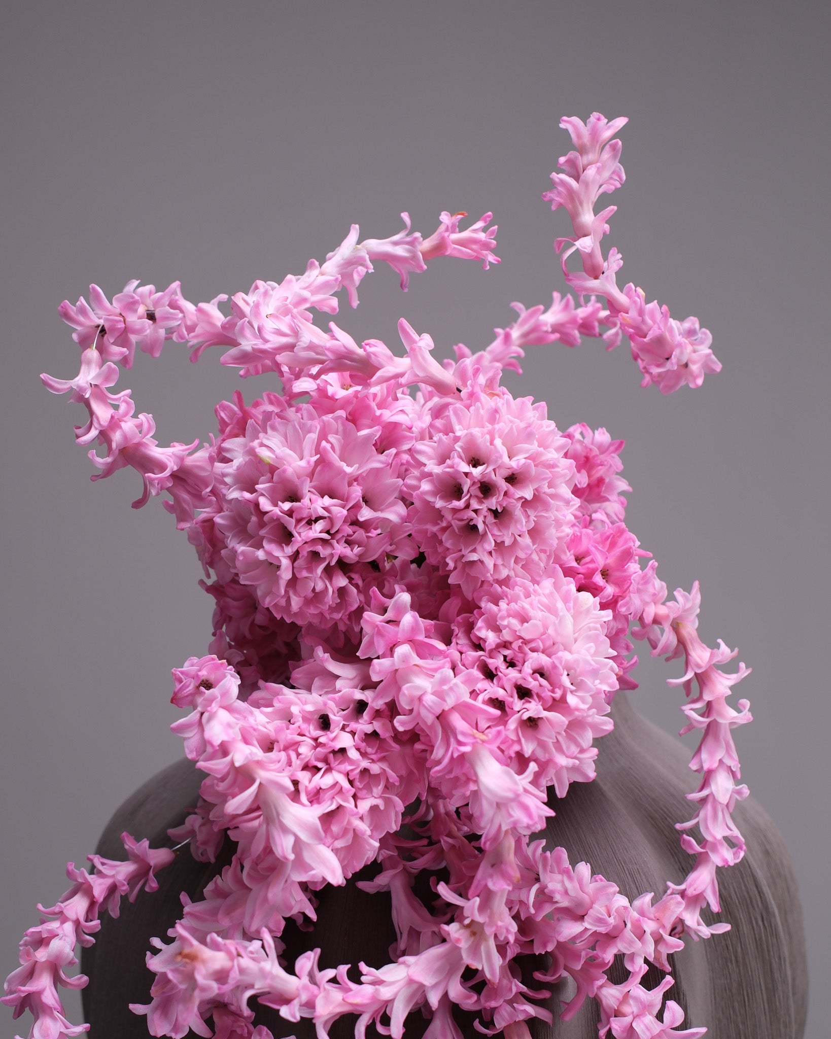 Cascading Pink Hyacinth Bridal Bouquet & Boutonniere