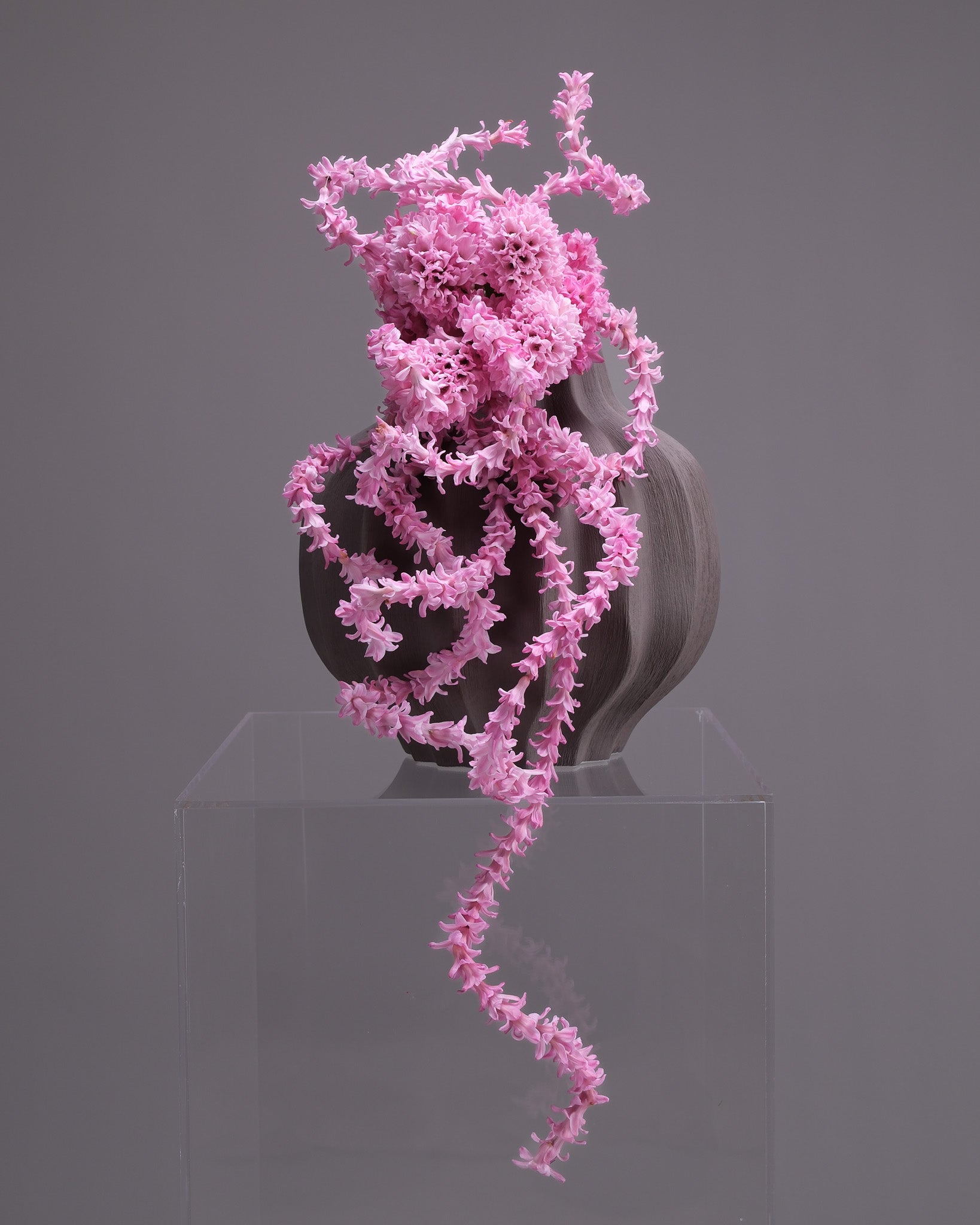 Cascading Pink Hyacinth Bridal Bouquet & Boutonniere