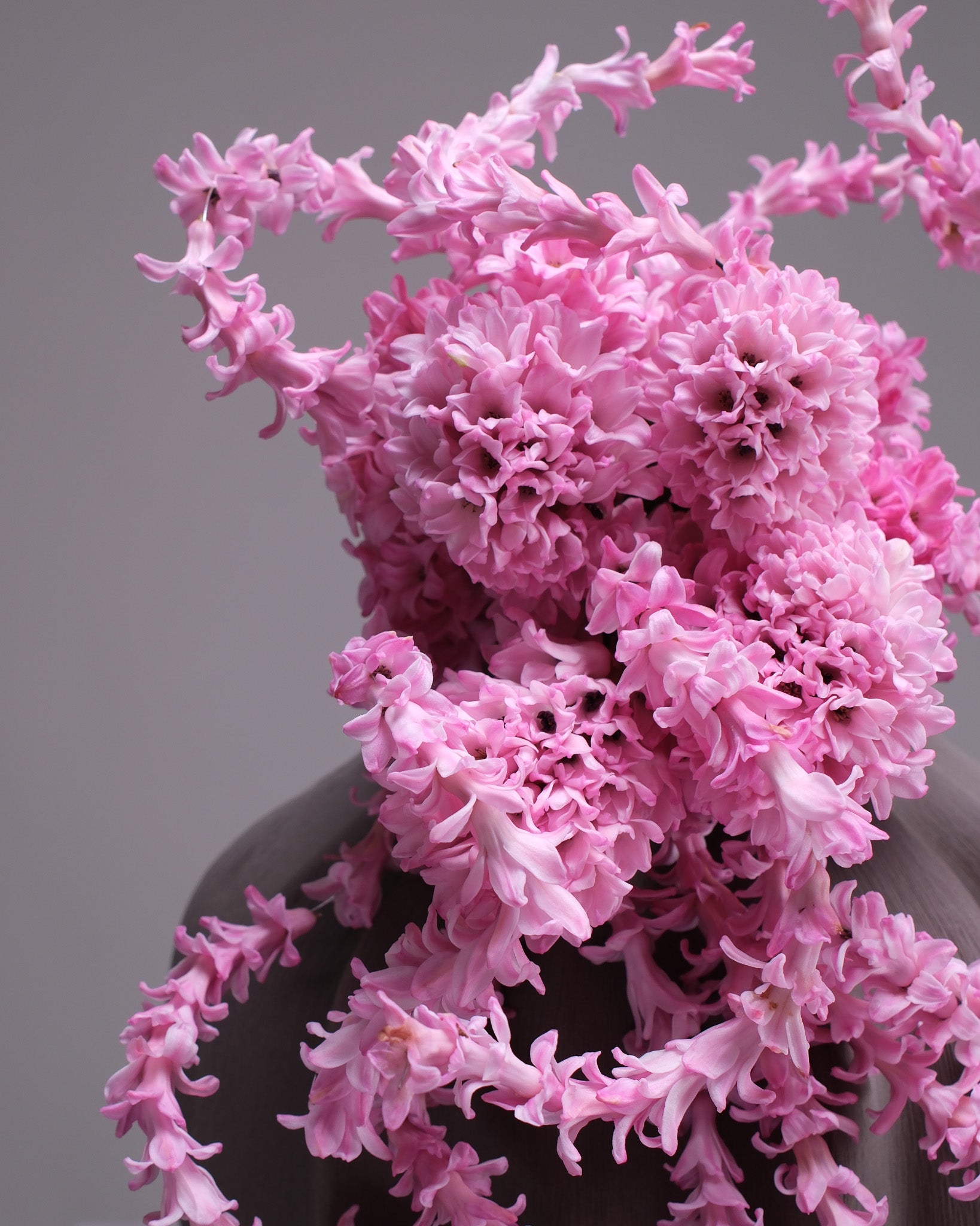 Cascading Pink Hyacinth Bridal Bouquet & Boutonniere