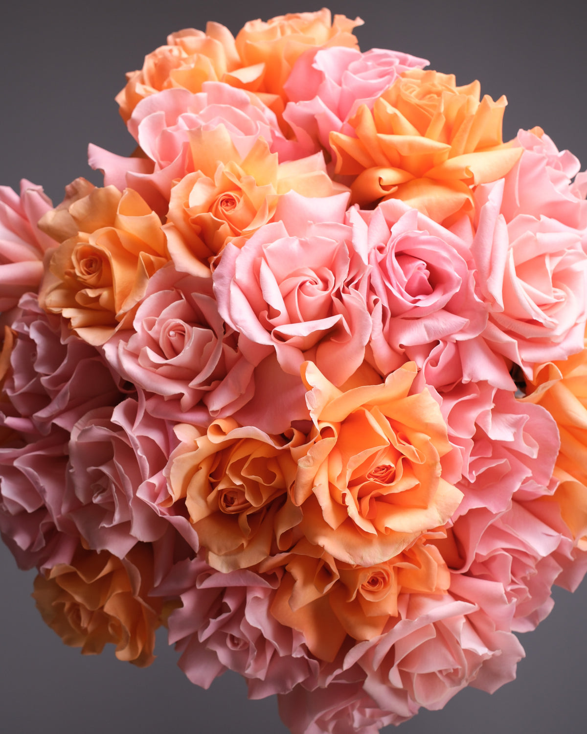Pink & Peach Roses