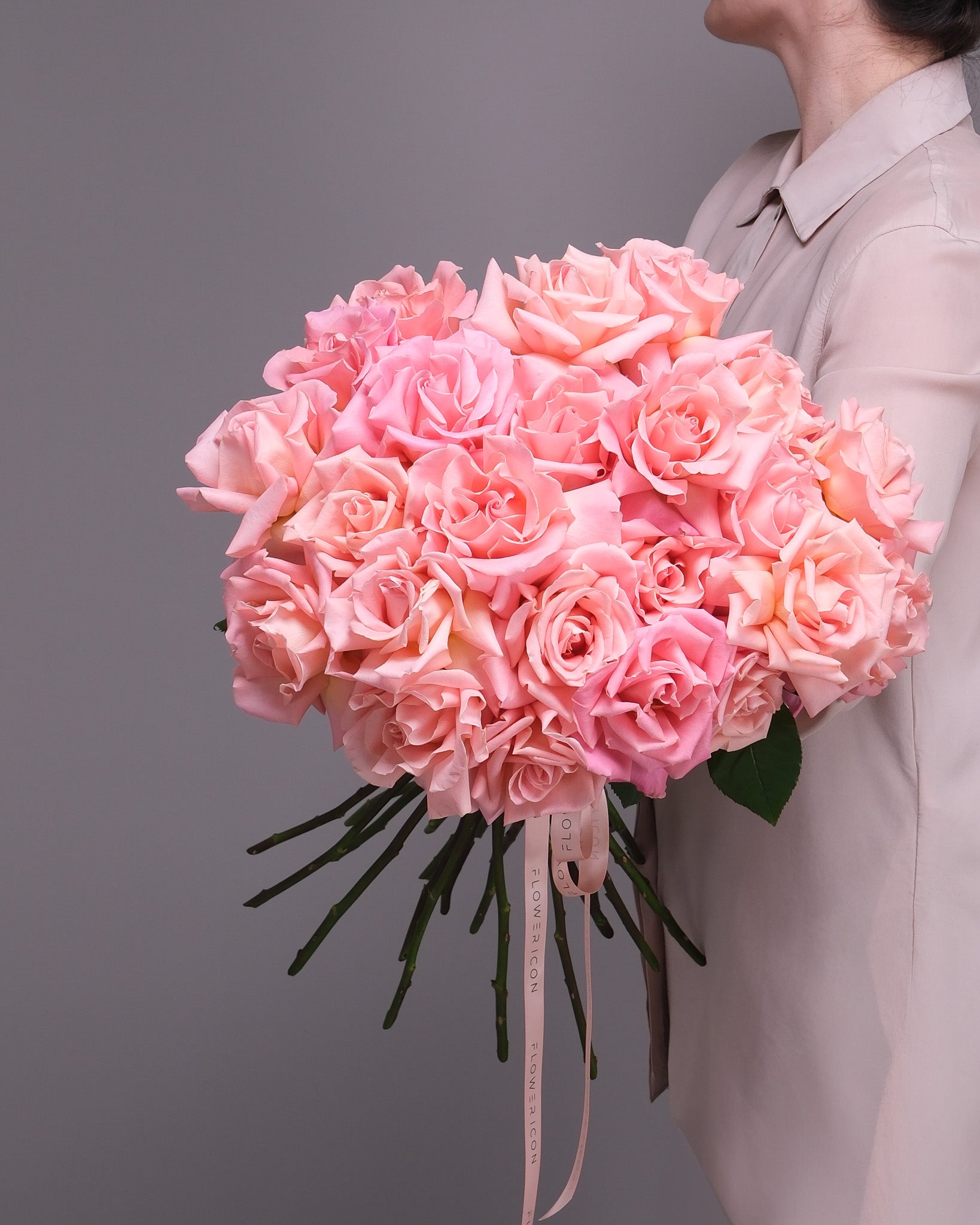 Pink Roses: Blush Ombre