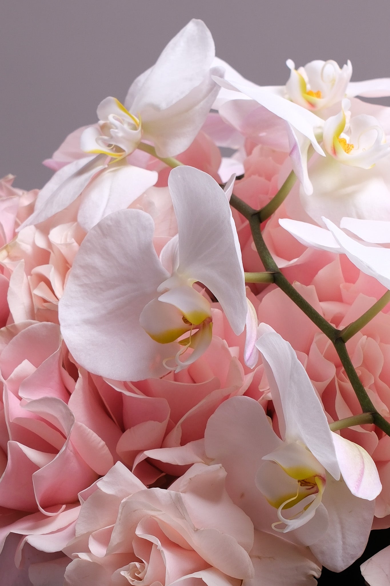 Pink Roses and Orchid: Rosé Icon Bouquet