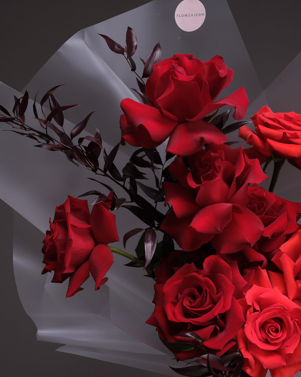 Rouge Noir — Red Roses & Burgundy Foliage