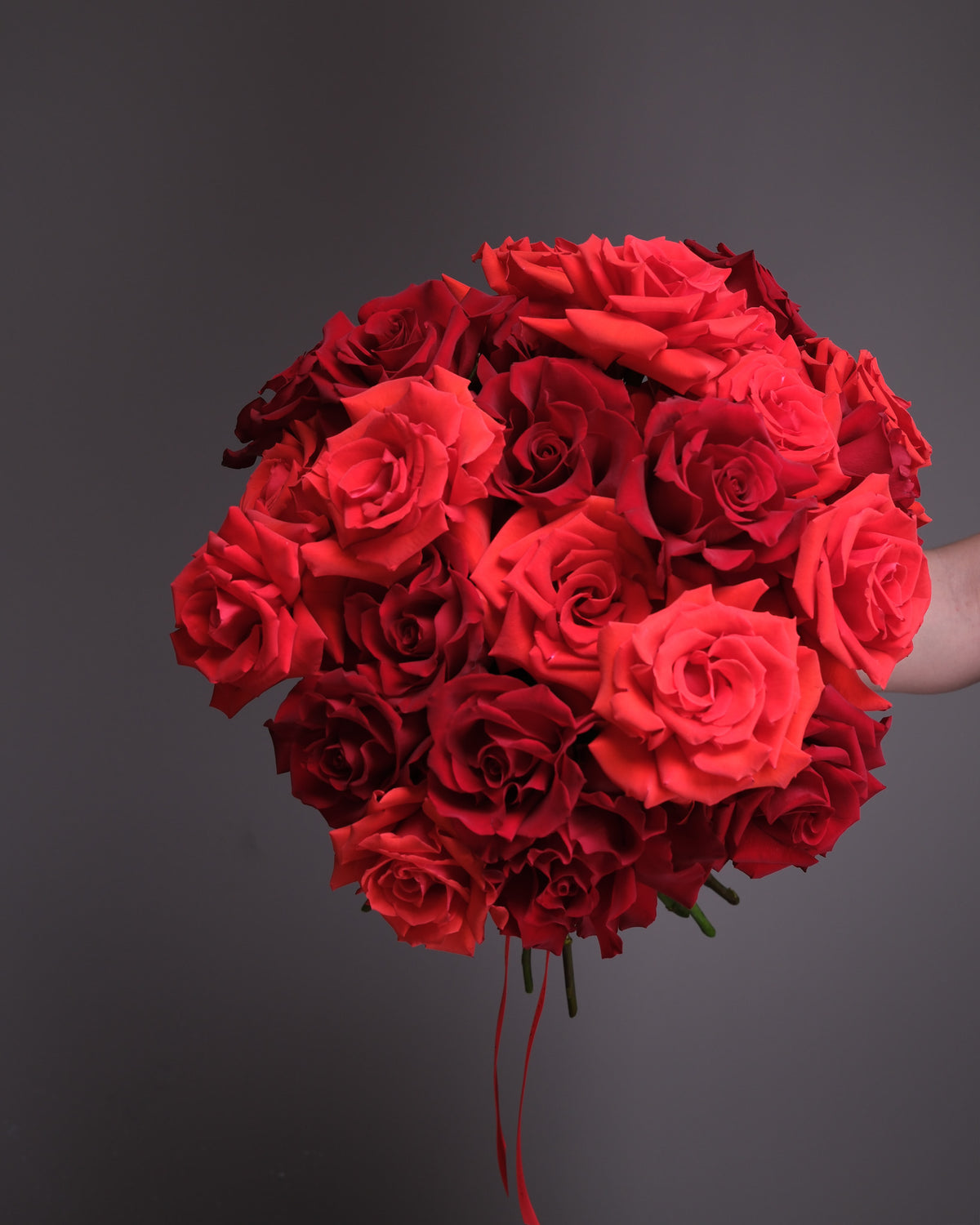 Red Roses: Mixed Varieties