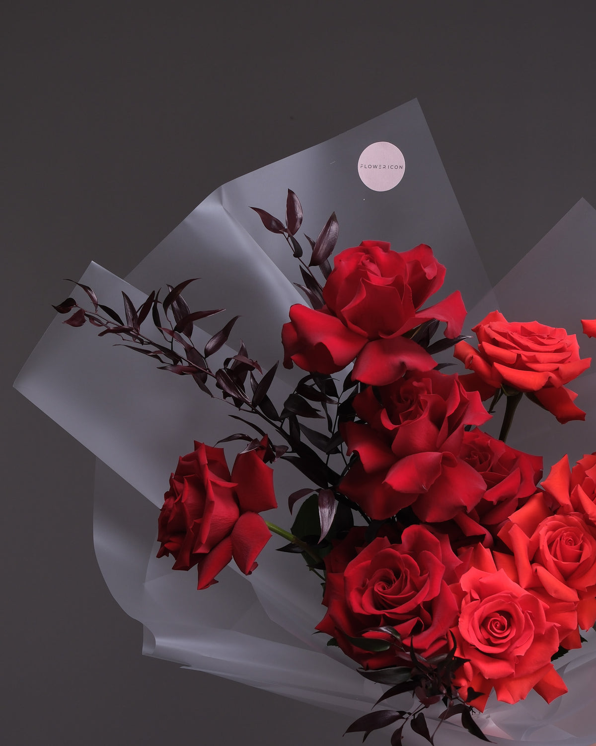 Rouge Noir — Red Roses & Burgundy Foliage