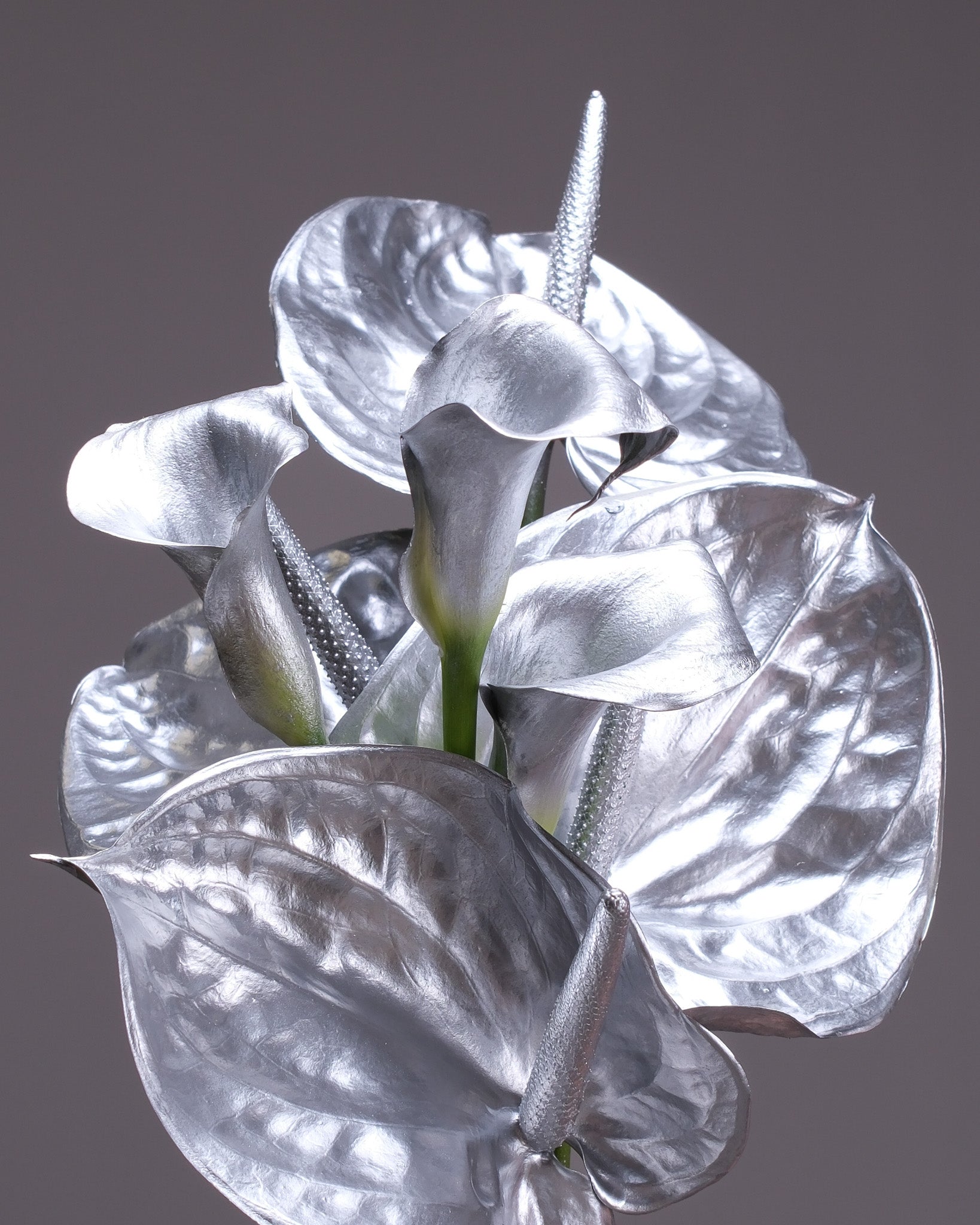 Silver Calla Lily & Anthurium Bridal Bouquet & Boutonniere