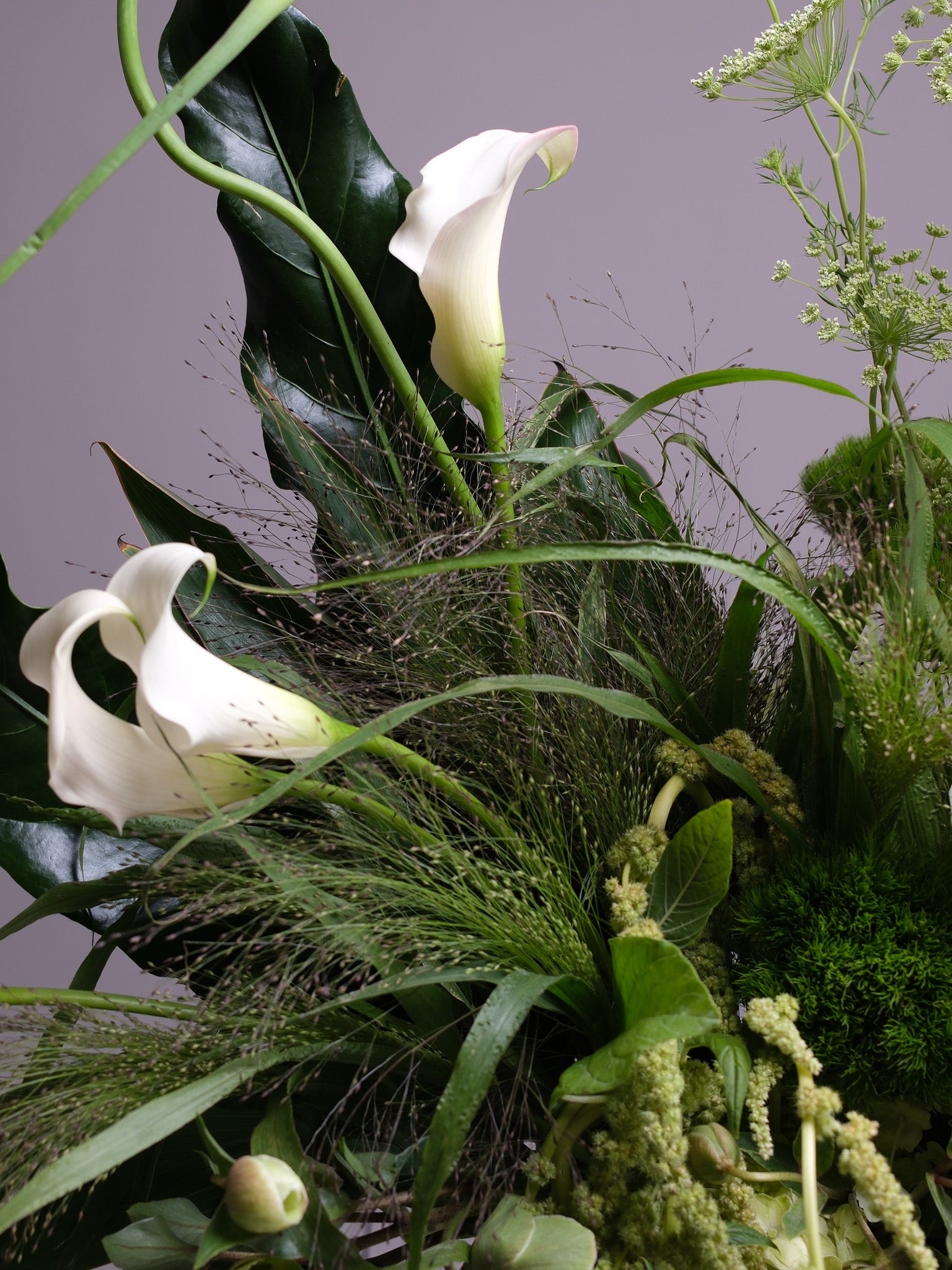 The Conservatory — Wild Green Event Arrangement
