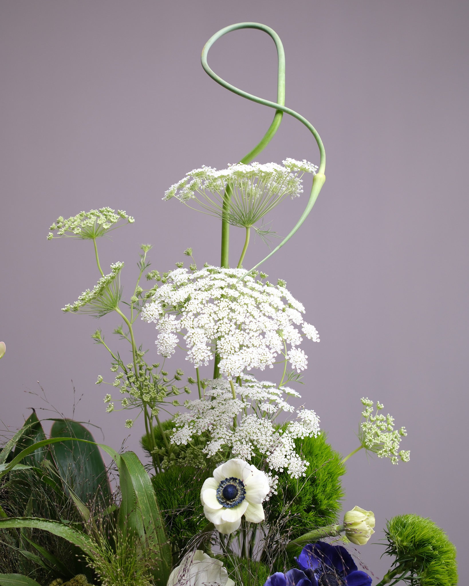 The Conservatory — Wild Green Event Arrangement
