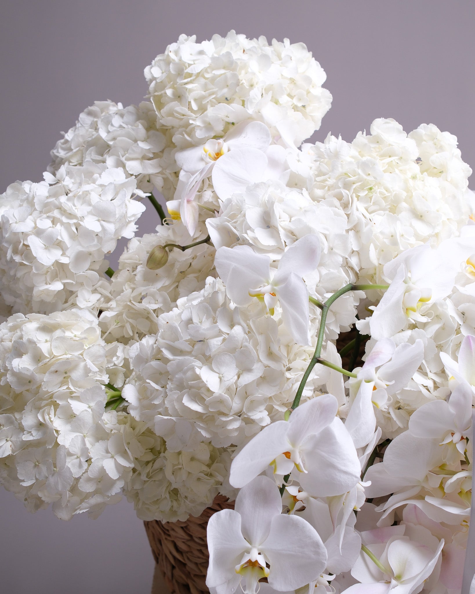 Alabaster — White Orchid & Hydrangea Cascade Basket