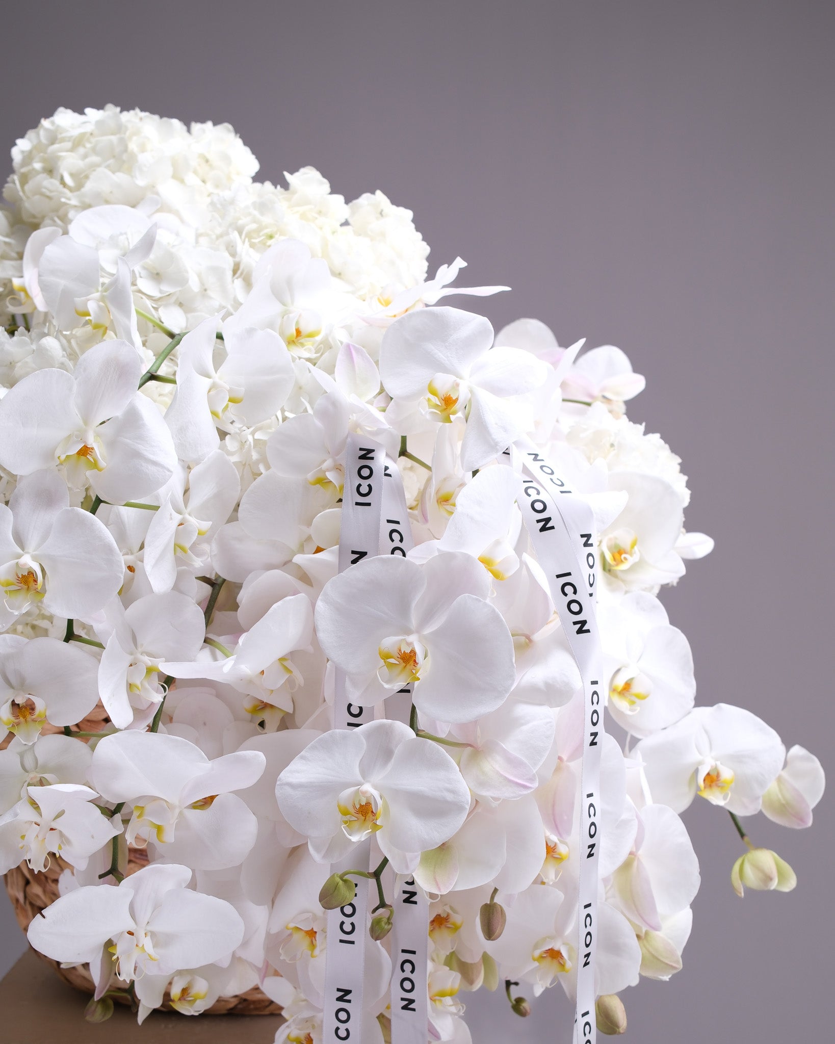Alabaster — White Orchid & Hydrangea Cascade Basket