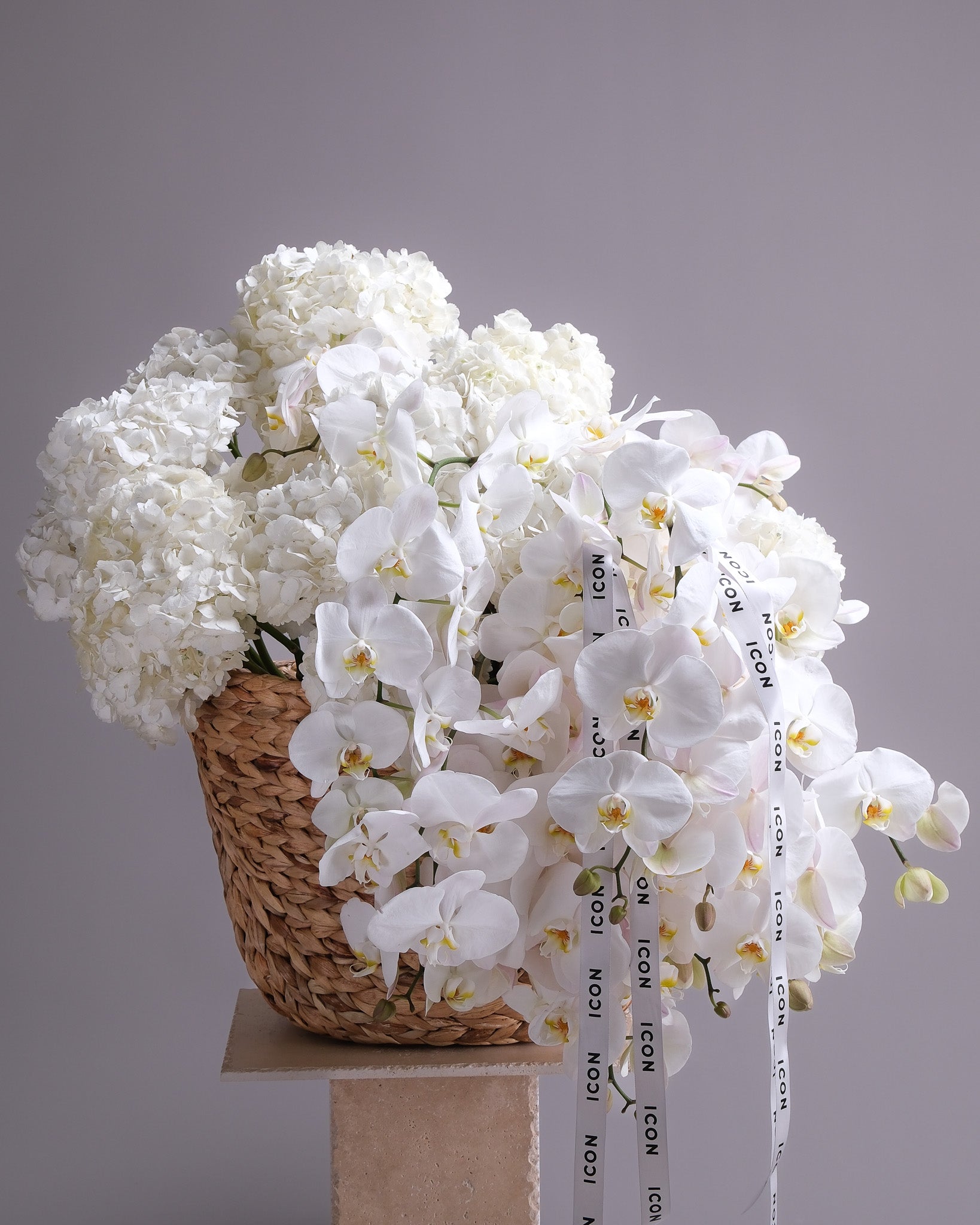 Alabaster — White Orchid & Hydrangea Cascade Basket