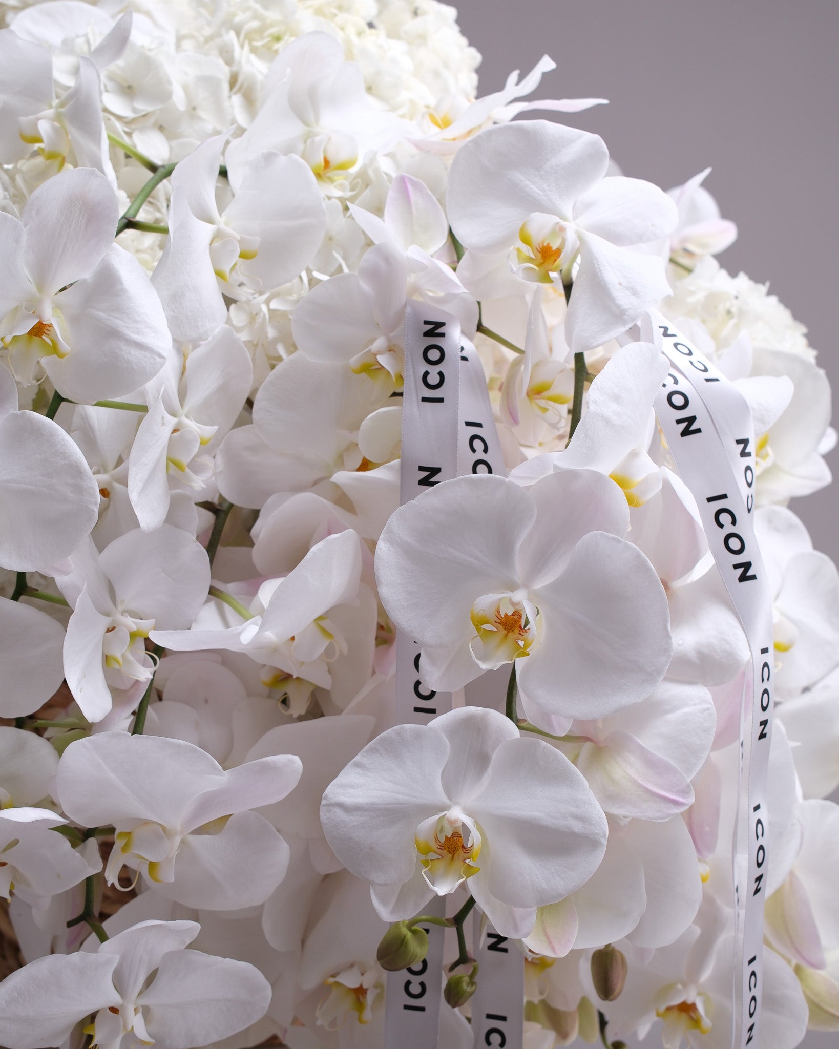 Alabaster — White Orchid & Hydrangea Cascade Basket